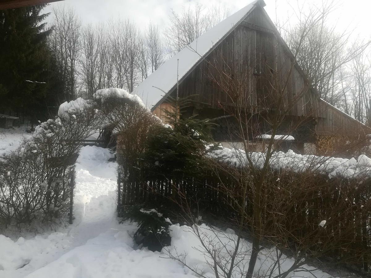 Apartmany Dana Horni Branna Екстер'єр фото